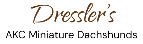 Logo with the text “Dressler’s” in brown script above the words “AKC Miniature Dachshunds” in black, plain font on a white background.