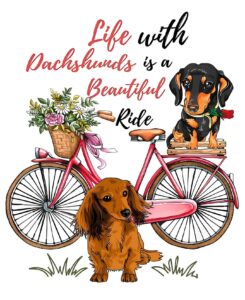 Illustration of a pink bicycle with a flower basket, a long-haired dachshund sitting in front, and a short-haired dachshund with a rose on the seat. Text reads: Life with Dachshunds is a Beautiful Ride.